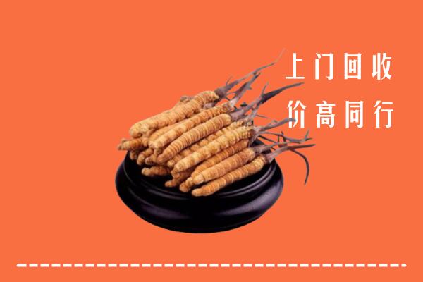 收购行情：渭南市冬虫夏草回收多少钱每克